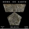 KNYGA Andrew Linn Home on Earth