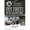 KNYGA Andy Singleton Painting Wargaming Figures: Axis Forces on the Eastern Front