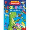 KNYGA Angela Hewett Junior Art Bumper Colour By Numbers