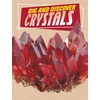 KNYGA Anita Nahta Amin Dig and Discover Crystals
