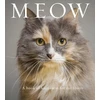 KNYGA Anouska Jones Miau