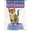 KNYGA Armadillo Let's Look & See: Kittens