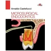 KNYGA Arnaldo Castellucci Microsurgical Endodontics