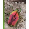 KNYGA Arthur V Evans The Lives of Beetles