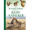 KNYGA Barbara Taylor Magnificent Book of Baby Animals