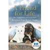 KNYGA Battersea Dogs and Cats Home Staff Friend for Life