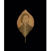 KNYGA Binh Danh: The Enigma of Belonging