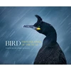KNYGA Bird Photographer of the Year