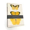 KNYGA Bodleian Library Butterfly Notebook Set