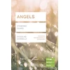 KNYGA Bookshop Angels (Lifebuilder Study Guides)