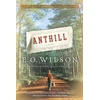 KNYGA Wilson Anthill