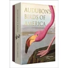 KNYGA Bookshop Audubon's Birds of America