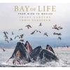 KNYGA Bookshop Bay of Life