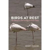 KNYGA Roger Pasquier Birds at Rest