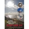KNYGA John Birdwatching Walks Around Morecambe Bay