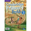 KNYGA Bookshop Cambridge Primary Path Level 3 Flashcards