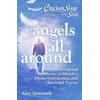 KNYGA Amy Newmark Chicken Soup for the Soul: Angels All Around