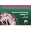 KNYGA Bookshop Colostrum feeding in piglets. Essential guides on swine health and production