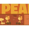 KNYGA Bookshop Complete Peanuts 1991-1994 Gift Box Set (Vols. 21 &amp; 22)