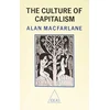 KNYGA ALAN Culture of Capitalism