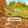 KNYGA Petra Bartikova Discovering the Secret World of Nature Underground