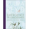 KNYGA Bookshop Emergence Of Consciousness