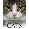 KNYGA Bookshop Encyclopedia of Cats