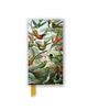 Bookshop Ernst Haeckel: Hummingbirds (Foiled Slimline Journal)