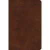 KNYGA Bookshop ESV Large Print Bible
