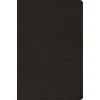 KNYGA Bookshop ESV Preaching Bible, Verse-by-Verse Edition