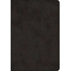 KNYGA Bookshop ESV Super Giant Print Bible