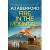 KNYGA Bookshop Fire in the Mountain