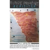 KNYGA Bookshop Future Primitive Revisited