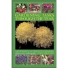 KNYGA Andrew Mikolajski Gardening Tasks Through the Year