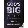 KNYGA Bookshop God's Big Picture