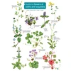 KNYGA Bookshop Guide to flowers of walks and waysides