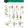 KNYGA Bookshop Guide to rushes