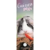 KNYGA Bookshop Guinea Pigs Slim Calendar 2026