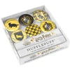 KNYGA Insight Editions Harry Potter: Hufflepuff Glass Magnet Set