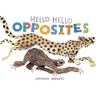 KNYGA Bookshop Hello Hello Opposites