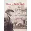 KNYGA Bookshop Here Is New York