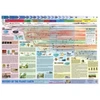 KNYGA Bookshop History of Planet Earth