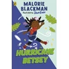 KNYGA Bookshop Hurricane Betsey