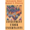 KNYGA Bookshop Investment under Uncertainty
