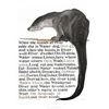 KNYGA Bookshop Jackie Morris Poster: Names of the Otter, The