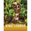 KNYGA Bookshop King Cobras