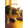 KNYGA Ronna M Bacon Kiva's Bad Day
