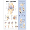 KNYGA Bookshop Knee Injuries Anatomical Chart