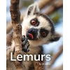 KNYGA Bookshop Lemurs