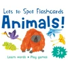 KNYGA Bookshop Lots to Spot Flashcards: Animals!